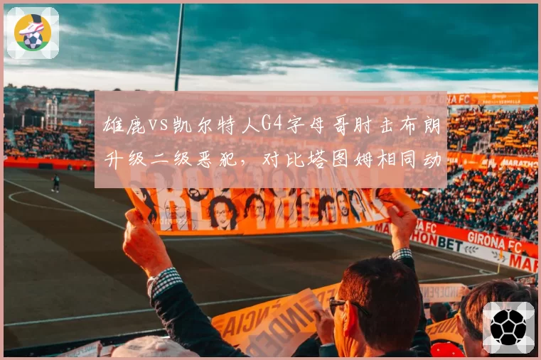 雄鹿vs凯尔特人G4字母哥肘击布朗升级二级恶犯，对比塔图姆相同动作仅普通犯规