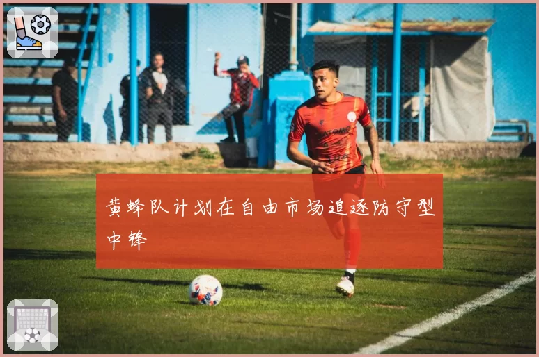 黄蜂队计划在自由市场追逐防守型中锋