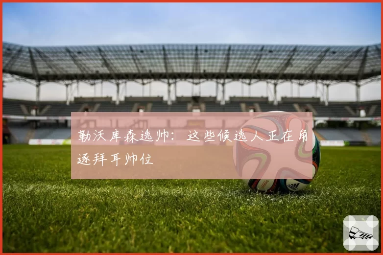 勒沃库森选帅:这些候选人正在角逐拜耳帅位