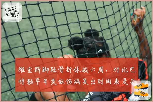 维金斯脚趾骨折休战六周，对比巴特勒早年类似伤病复出时间表是否过于仓促？
