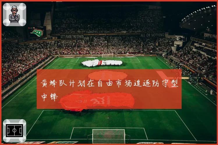 黄蜂队计划在自由市场追逐防守型中锋